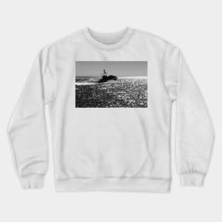 Search For Whales Crewneck Sweatshirt